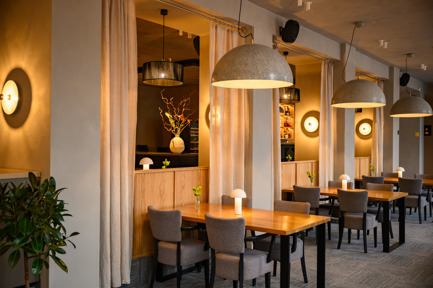 KULTA Limewash Paint, an eco-friendly mineral paint known for its natural matte texture. Hotel Restaurant Interior Design.