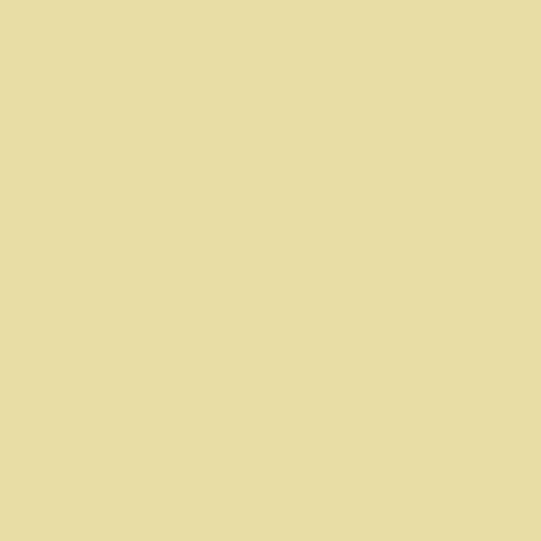 Kulta Limewash Paint - Smooth Dijon is a rich mustard yellow that brings warmth and sophistication to your space made with environmentally friendly ingredients for stylish sustainable rooms.