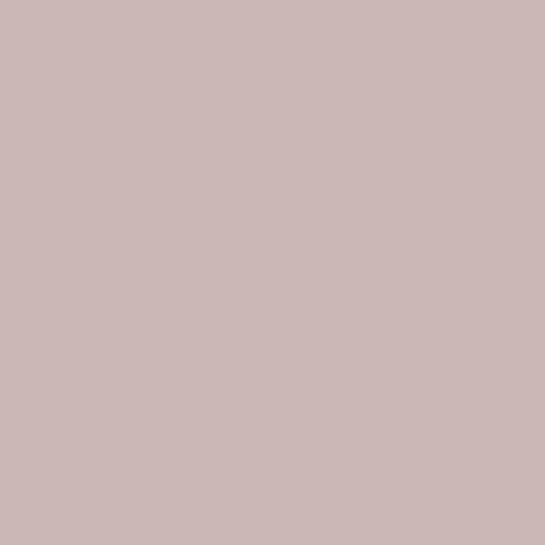 Kulta Limewash Paint - Taupe Harmony is a perfect blend of taupe and beige for a balanced look made with environmentally friendly ingredients for a natural and sustainable space.