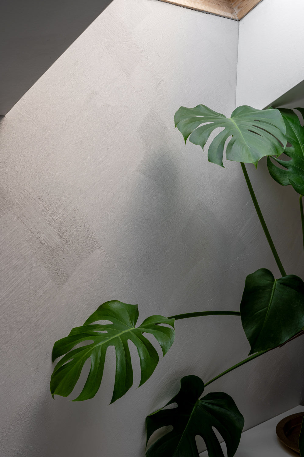 Home office walls finished with eco-friendly KULTA Limewash Paint.