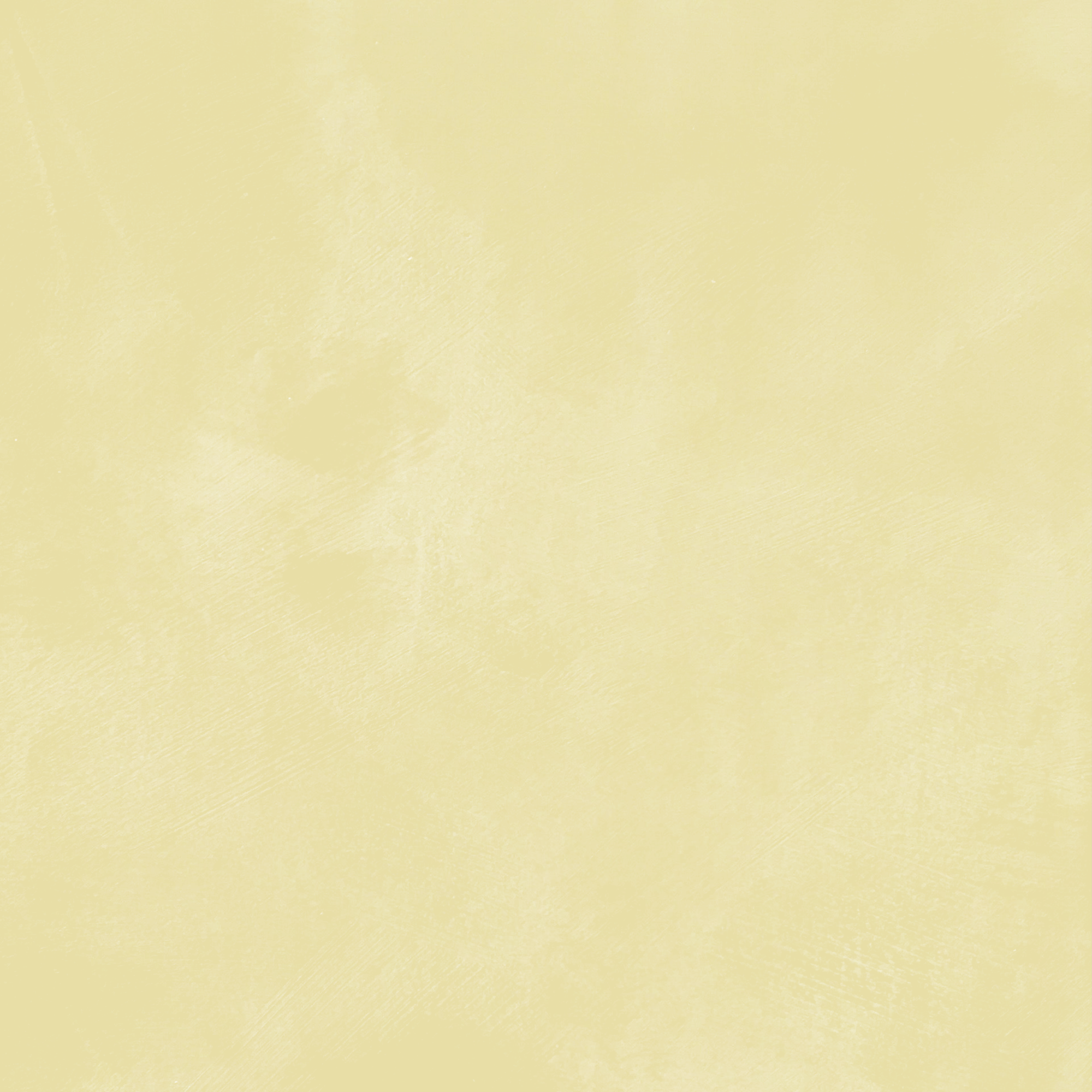 Kulta Limewash Paint - Smooth Dijon is a rich mustard yellow that brings warmth and sophistication to your space made with environmentally friendly ingredients for stylish sustainable rooms.